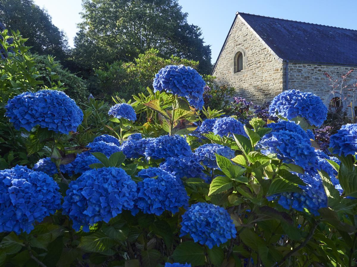 B&B La Grange Du Minuellou Melgven Eksteriør bilde